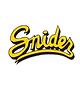 Fort Wayne Snider High School Football