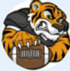 Fort Wayne Snider High School Football opponent